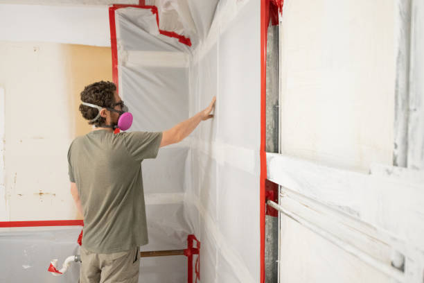 Best Real Estate Mold Inspection  in Vine Grove, KY