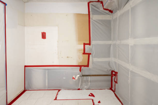Best Comprehensive Air Testing for Mold Contaminants  in Vine Grove, KY