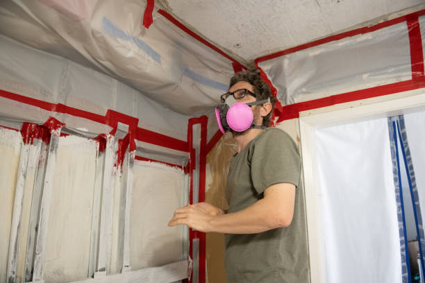 Best Attic Mold Removal  in Vine Grove, KY