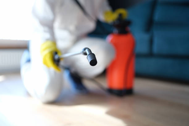 Best Industrial Mold Remediation  in Vine Grove, KY