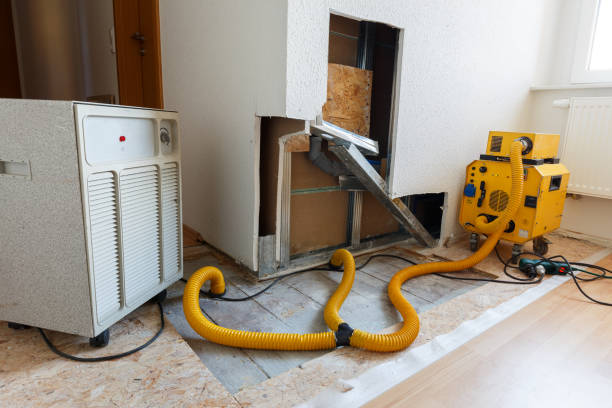 Best Mold Removal for HVAC Installations  in Vine Grove, KY